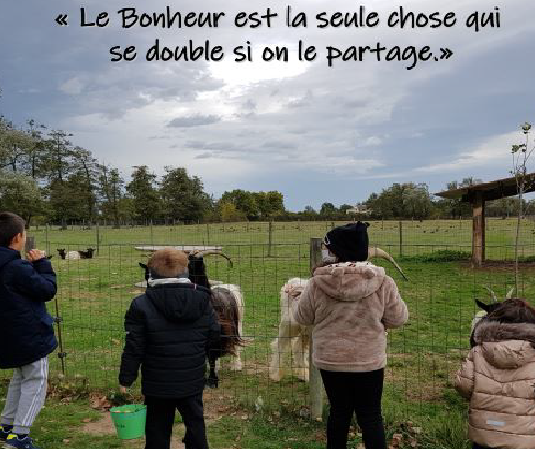 "Une belle rencontre avec les animaux de la ferme pédagogique !"